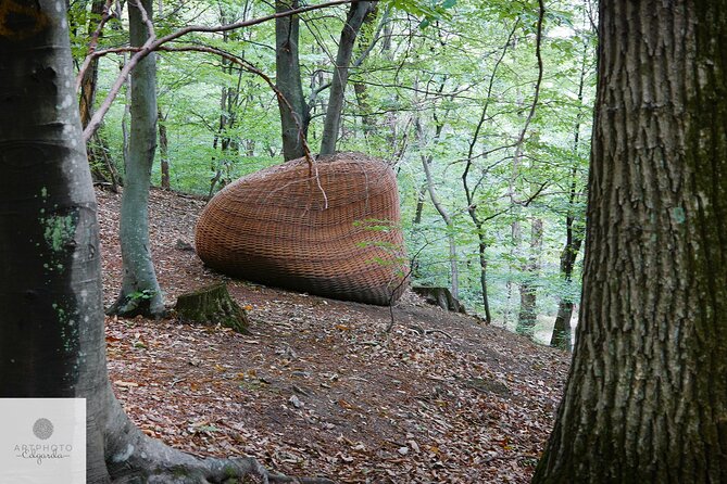 Photo Tour and Artworks in the Capriasca Redde Wood - Cancellation Policy and Refunds