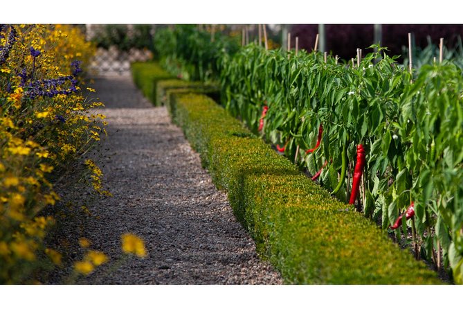Photography Tour of Château De Villandry - Pricing and Terms