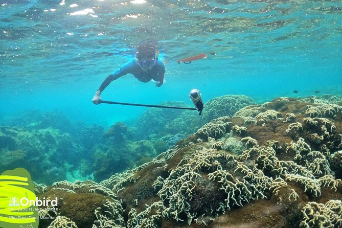 Phu Quoc Private Half-Day Snorkeling Adventure - What To Expect During the Adventure