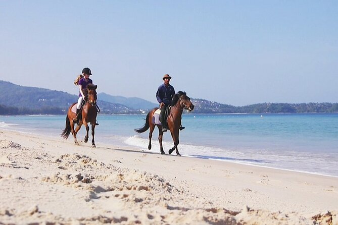 Phuket Beach and Horse Rides 1 Hour Experience - Weight Limit and Riding Regulations