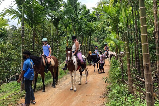 Phuket Horse Riding Experience - Cancellation Policy