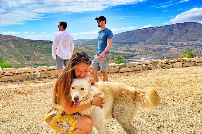 Picnic in an Organic Winery in Alcamo - Reviews
