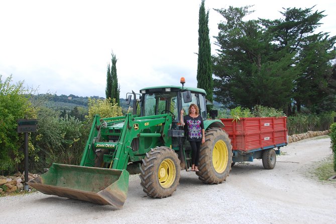 Pienza, Val Dorcia, Montalcino Wine and Pecorino Cheese PRIVATE TOUR From SIENA - Key Locations and Experiences