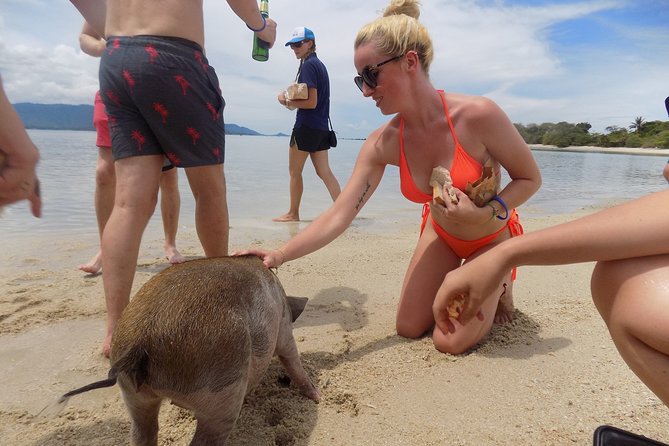 Pig Feeding, Kayaking, Snorkeling Trip at Pig Island By Speedboat From Koh Samui - Reviews and Experience