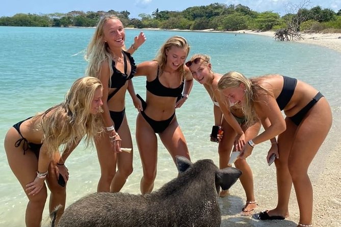 Pig Island Private Beach Full Day From Koh Samui - Thai Version of the Bahamas - Return Transfer Back to Starting Point