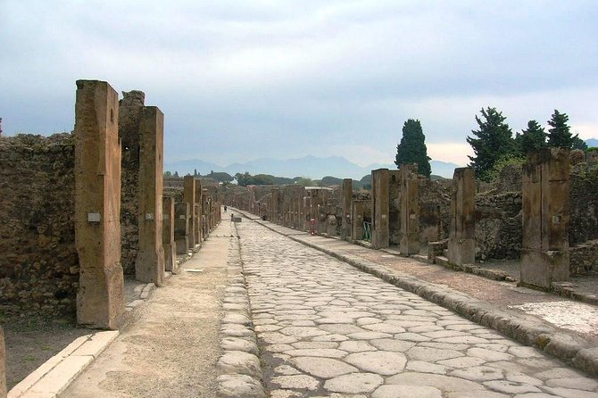 Pompei Archeological Site and Wine Tasting Experience - Questions and Assistance