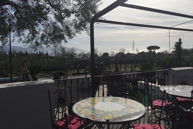 Pompeii-Wine Tasting Tour From Sorrento, Licensed Guide Included - Pricing