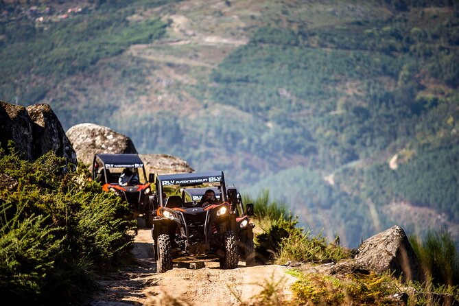 Ponte De Lima Guided Buggy Tour - Cancellation Policy