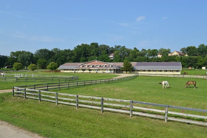 Pony Rides and Petting Zoo - Directions to the Meeting Point