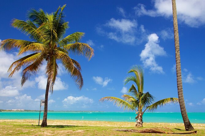 PR Chinchorreo-Beach and Bar Hopping Tour - Traveler Photos and Testimonials