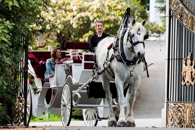 Premier Horse-Drawn Carriage Tour of Victoria - Reviews and Traveler Photos