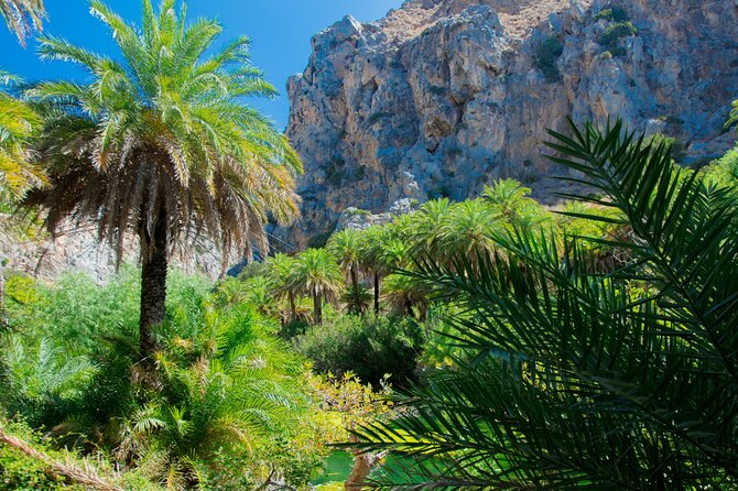 Preveli Palm Beach Boat Cruise & Rethymnon Town From Heraklion - Lowest Price Guarantee
