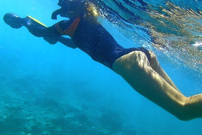 Princeville - Snorkeling Shore Excursion - Tour Logistics and Timeframe