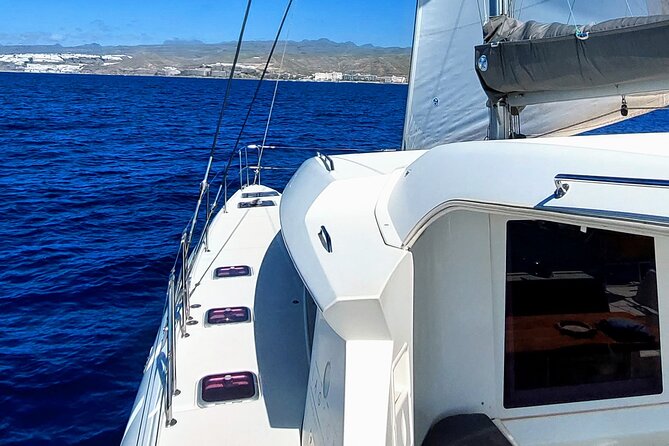 Private 4 Hour Catamaran Cruise in South Coast of Gran Canaria - Pick-up and Drop-off