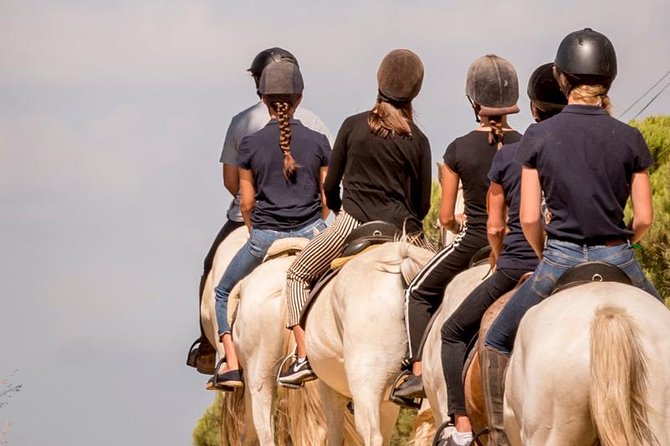 Private 75-Minute Horseback Riding Excursion on the Beach in  - Setubal District - Expectations and Accessibility