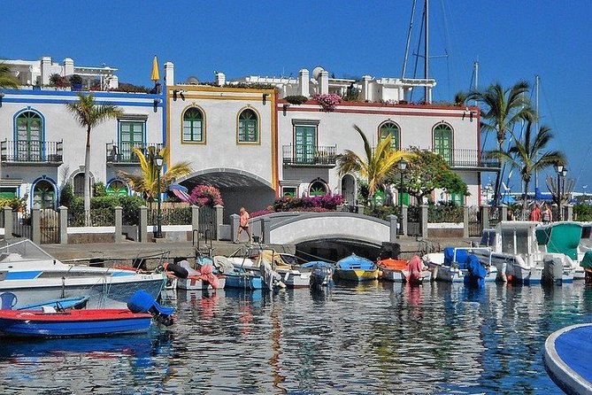 Private 8-Hour Tour of Central and Southwest of Gran Canaria W/ Hotel Pick-Up - Ideal for Travelers With Limited Time