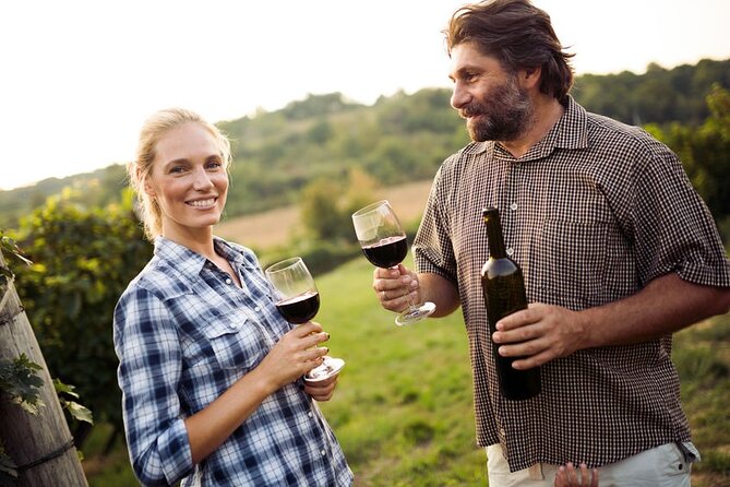 Private Afternoon Wine-Tasting Tour of Niagara, Ontario  - Niagara Falls & Around - Memorable Wine Tour Experience