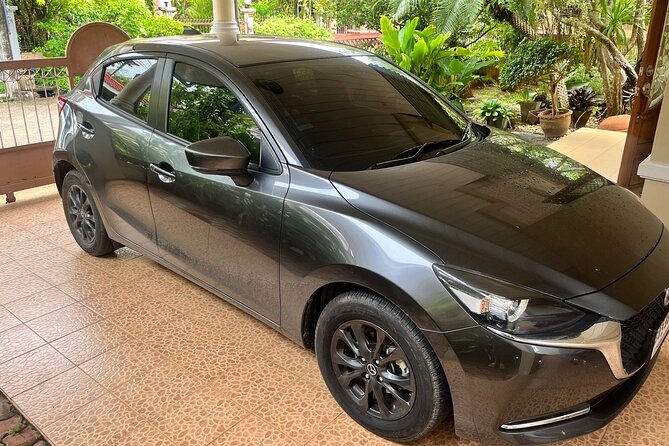 Private Airport Transfer in Krabi - Driver and Language