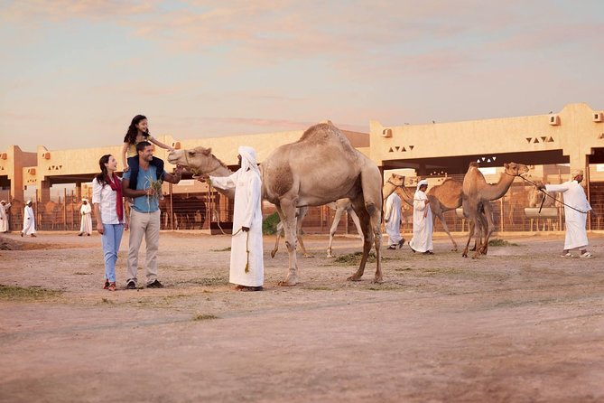 Private Al Ain City Tour From Dubai With Buffet Lunch - Common Questions