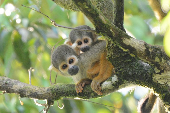 Private, All-Inclusive Grand Amazon Tour - 3 Days, Iquitos, Peru - Meeting and Pickup Information