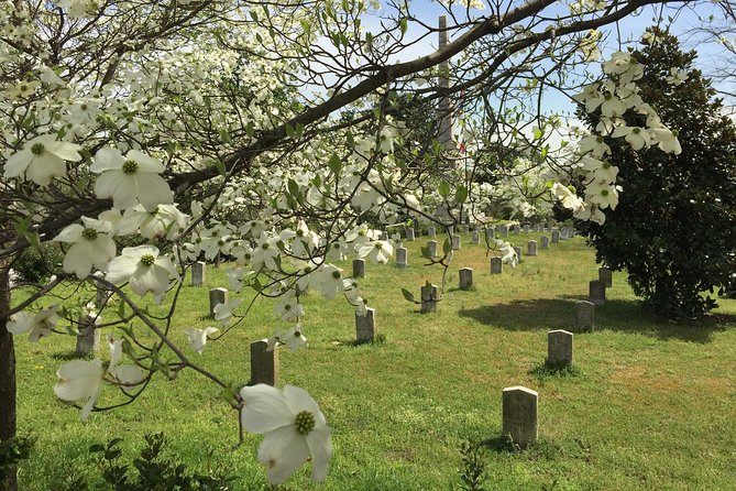 Private Atlanta History Tour From Civil War to Civil Rights - Pricing, Copyright, and Terms & Conditions