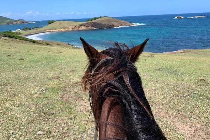 Private Beach Horseback Ride With Sandy Hoofs St. Lucia - Interaction With Guides and Overall Experience