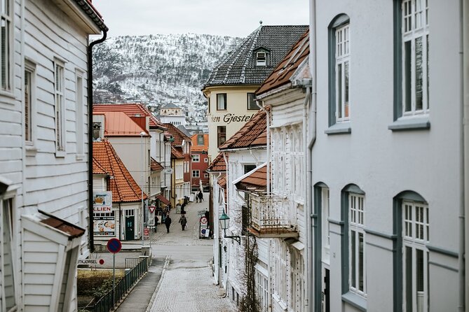 Private Bergen Shore Excursion: Bergen Walking Tour - Tour Itinerary and Experience