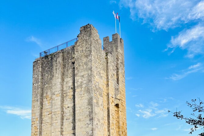 Private - Best of Saint Emilion Walking Tour - Reviews