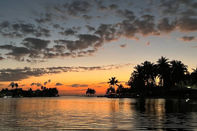 Private: Bioluminescence Tour - 6 Guests - Equipment and Tour Guide