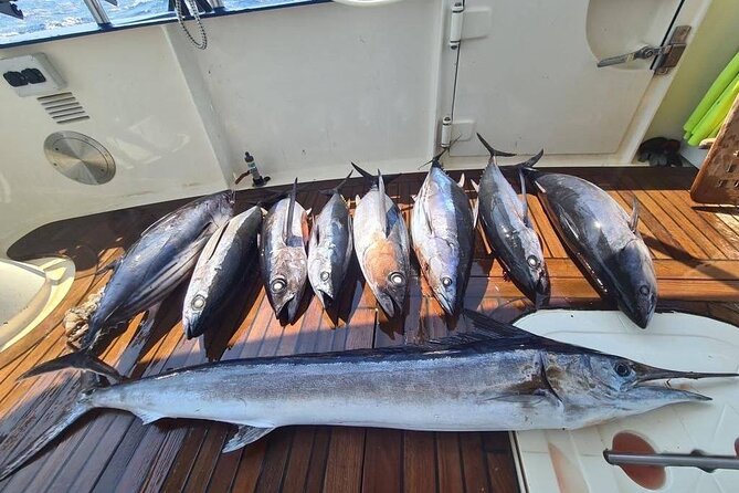 Private Boat and Fishing Tours in Greek Islands - Cancellation Policy