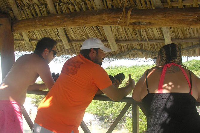 Private Boat to Visit Holbox Surroundings (3-Island Tour) - What to Expect