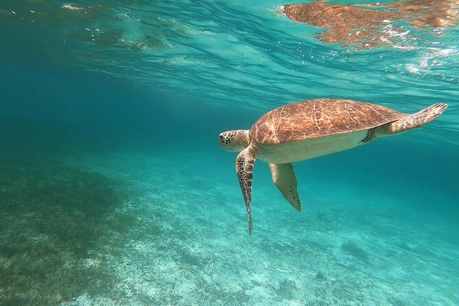 Private Boating Adventure for Snorkeling or Fishing in Nassau - 38ft Boat - The Sum Up