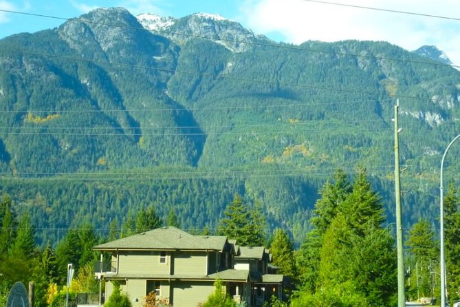 Private Charter Tour to Explore Vancouver and Surrounding Area - Reviews