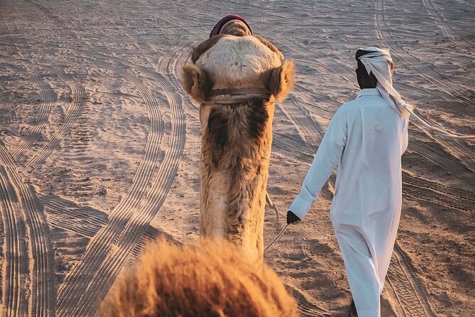 Private-Combo Full Day Tour Doha City and Desert Safari - Booking Terms and Conditions