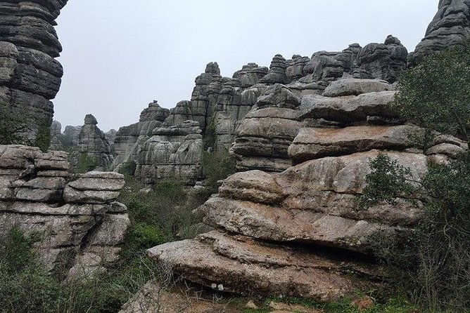 Private Cordoba Tour and Day Trip to Antequera - Booking Confirmation