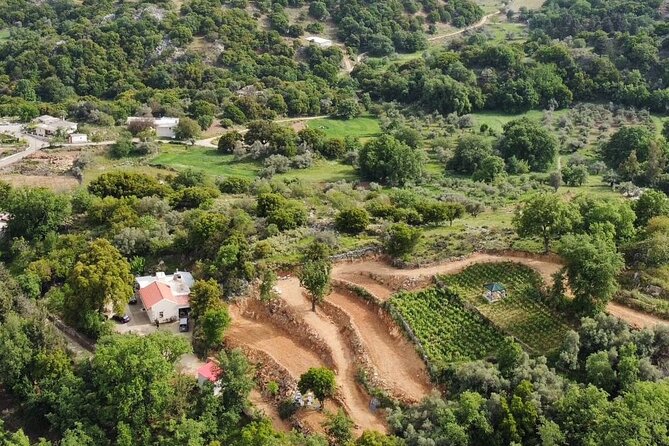 Private Crete Mountain Villages Wine and Food Tour - Meeting Point and Pickup Options