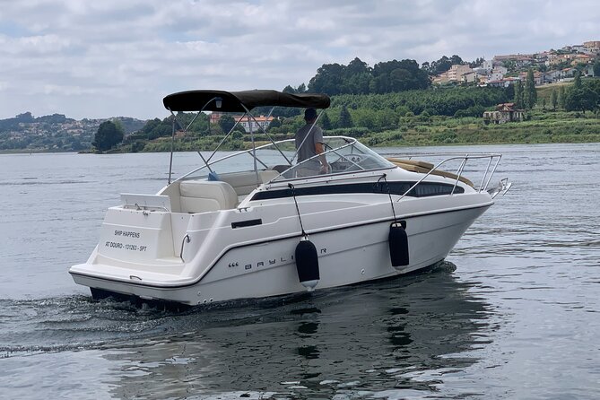 Private Cruise in Rio Douro - 2 Hours - up to 8 Passengers - Infant Policy