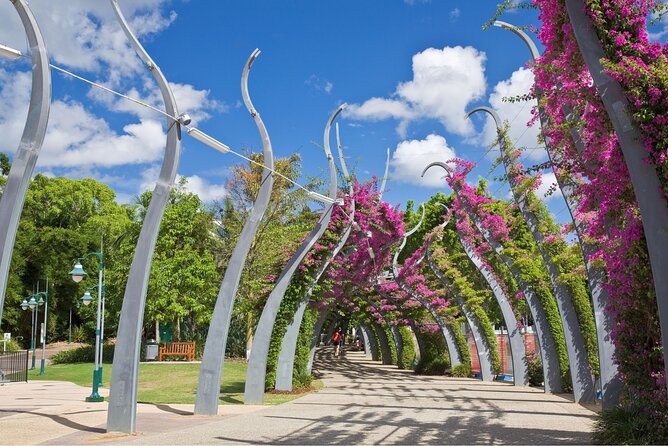 Private Custom Tour With a Local Guide Brisbane - The Sum Up