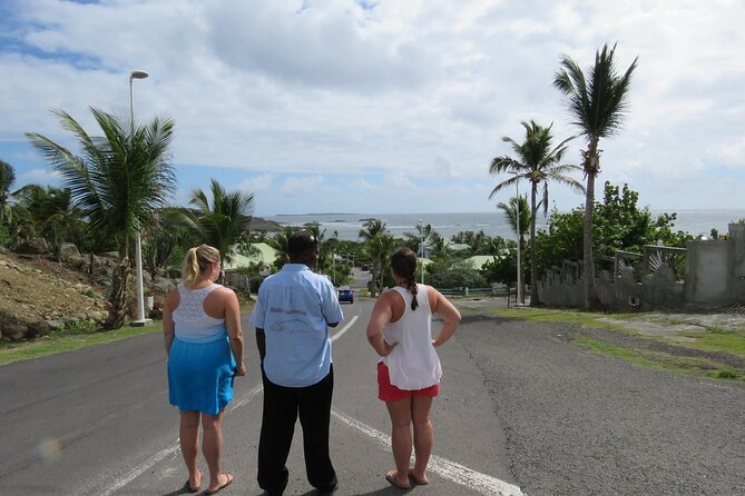 Private Customizable Island Sightseeing Tour in St Maarten - Highlights of the Private Tour