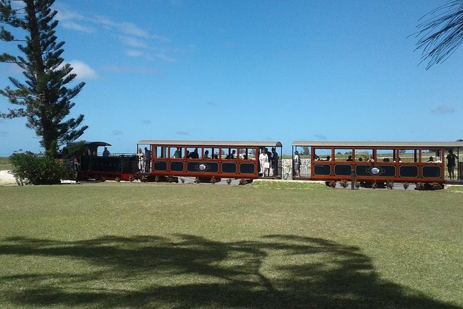 Private Customized Island Tour of Barbados - Positive Customer Reviews