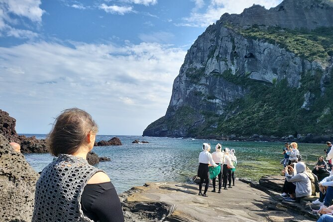 Private Day Jumbo Taxi Tour Experienced Driver in Jeju Island - Questions and Terms
