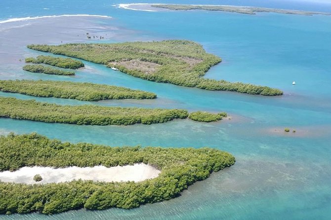 Private Day Sail - South Coast of Puerto Rico - Last-minute Planning and Incredible Experience
