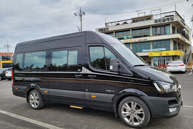 Private Day South and West Tour For Cruise Customers in Jeju - Transportation and Amenities