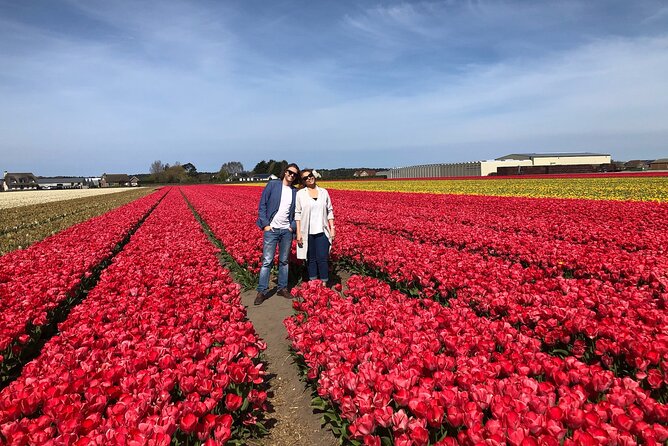 Private Day Tour to Keukenhof Flower Fields and Delft City - Expert Guide