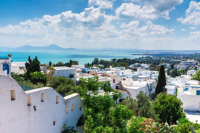 Private Day Tour Tunis Carthage Sidi Bousaid Hammamet From Sousse - Pricing and Availability