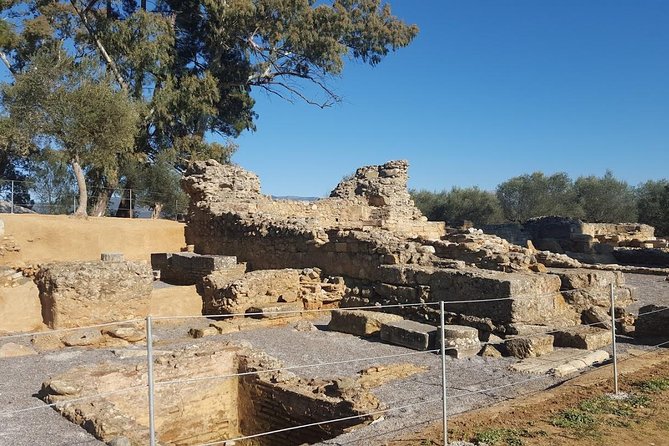 Private Day Trip to Sparta From Kalamata (Price per Group) - Cancellation Policy for the Sparta Excursion