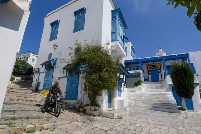 Private Day Trip Tunis Carthage Sidi Bou Said - Common Questions