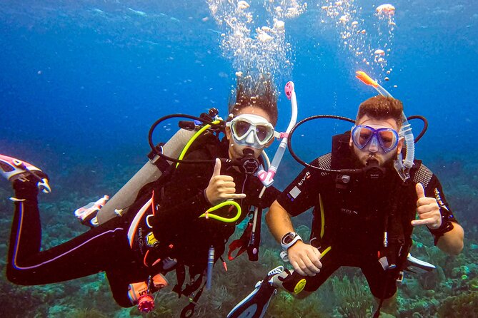 Private Discover Scuba Dive Experience in Curaçao - The Sum Up