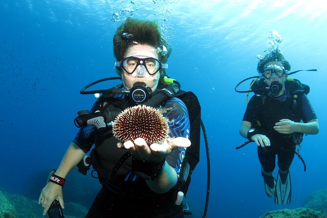 Private Discover Scuba Diving for Beginners in Athens With Pickup - Traveler Photos, Reviews, and Support