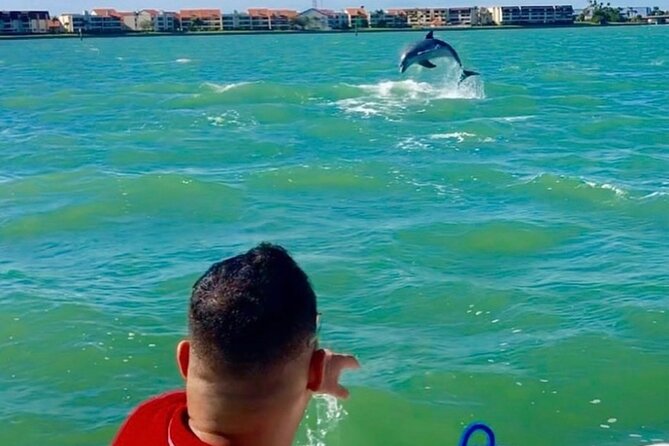 Private Dolphin & Architecture Tour in St. Petersburg, Fl - The Sum Up